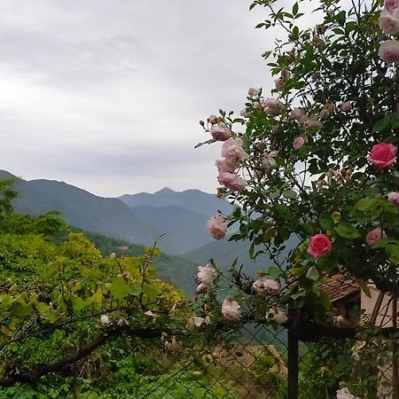 L'Ibrus Blue Bed & Breakfast Belvedere  Ngoại thất bức ảnh
