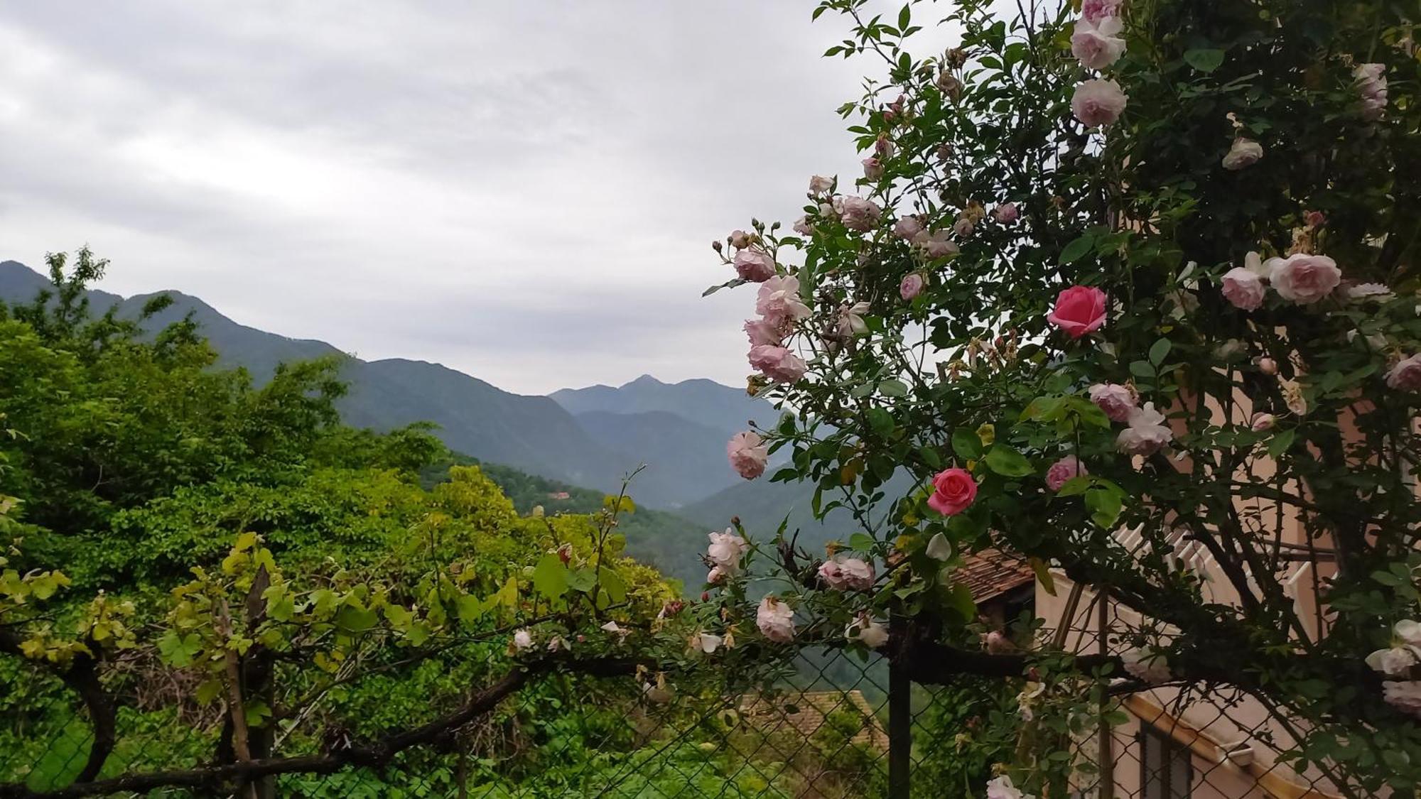 L'Ibrus Blue Bed & Breakfast Belvedere  Ngoại thất bức ảnh